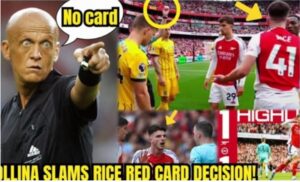 Read more about the article Collina appeals for referee punishment following ‘ridiculous’ red card in Arsenal vs Brighton match – PGMOL set to negate Brighton goal and grant Arsenal three points.